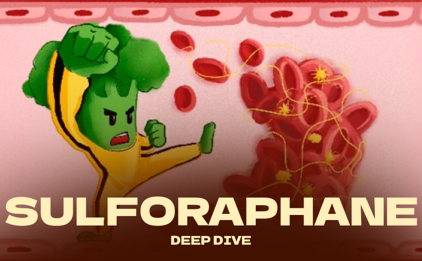 Sulforaphane and Hormesis (Updated 2026/02/08)