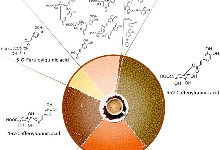 Adding milk to coffee may reduce its health benefits