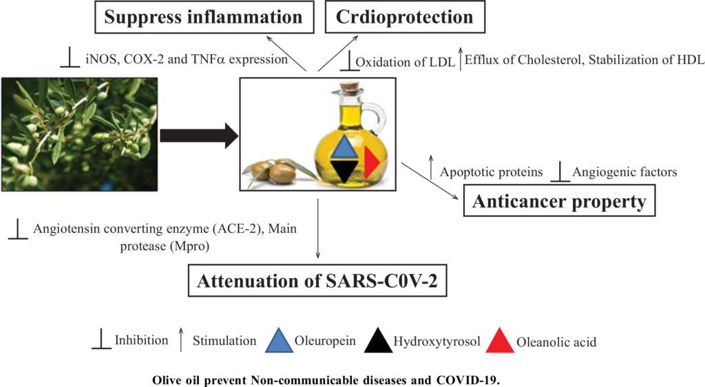 Health benefits of extra virgin olive oil, including inflammation suppression, cardioprotection, anticancer properties, and attenuation of COVID